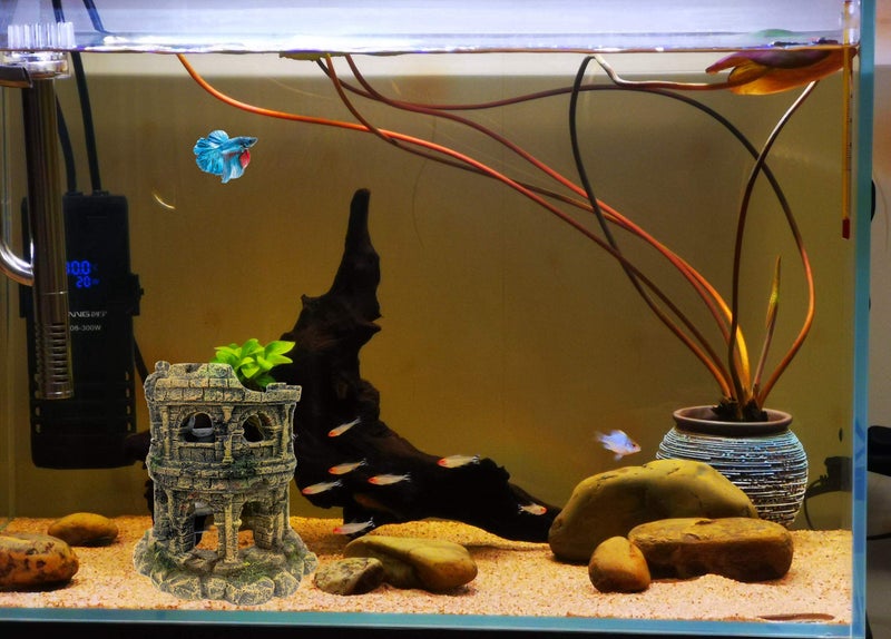 M2cbridge Antique Roman Column Ruins European Castle Aquarium Decorations Fish Tank Hideout Rocks (Roman Column Round) - Image 3
